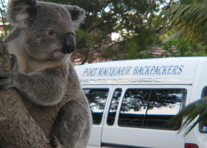 Port Macquarie Backpackers